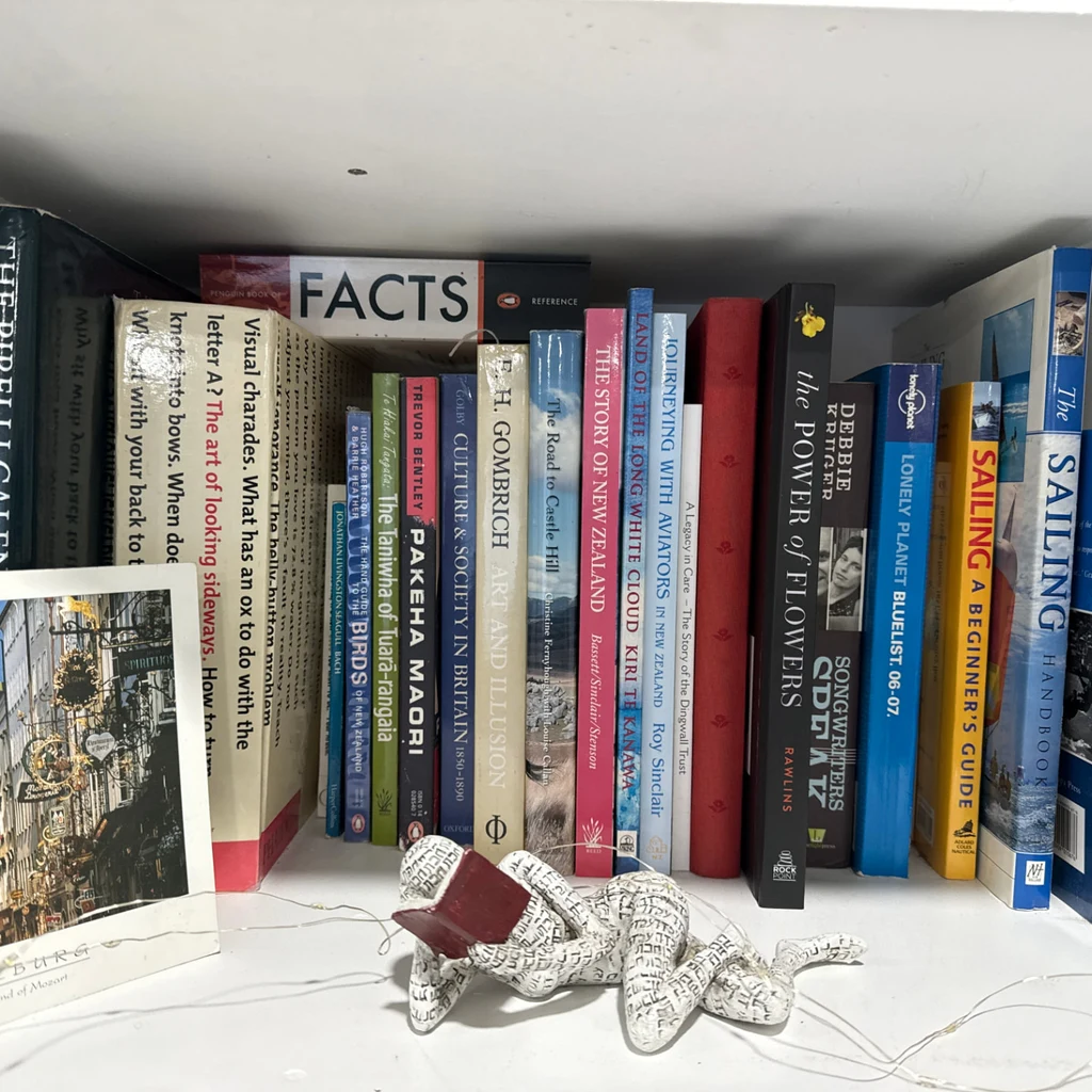 The bookshelf — original photograph
